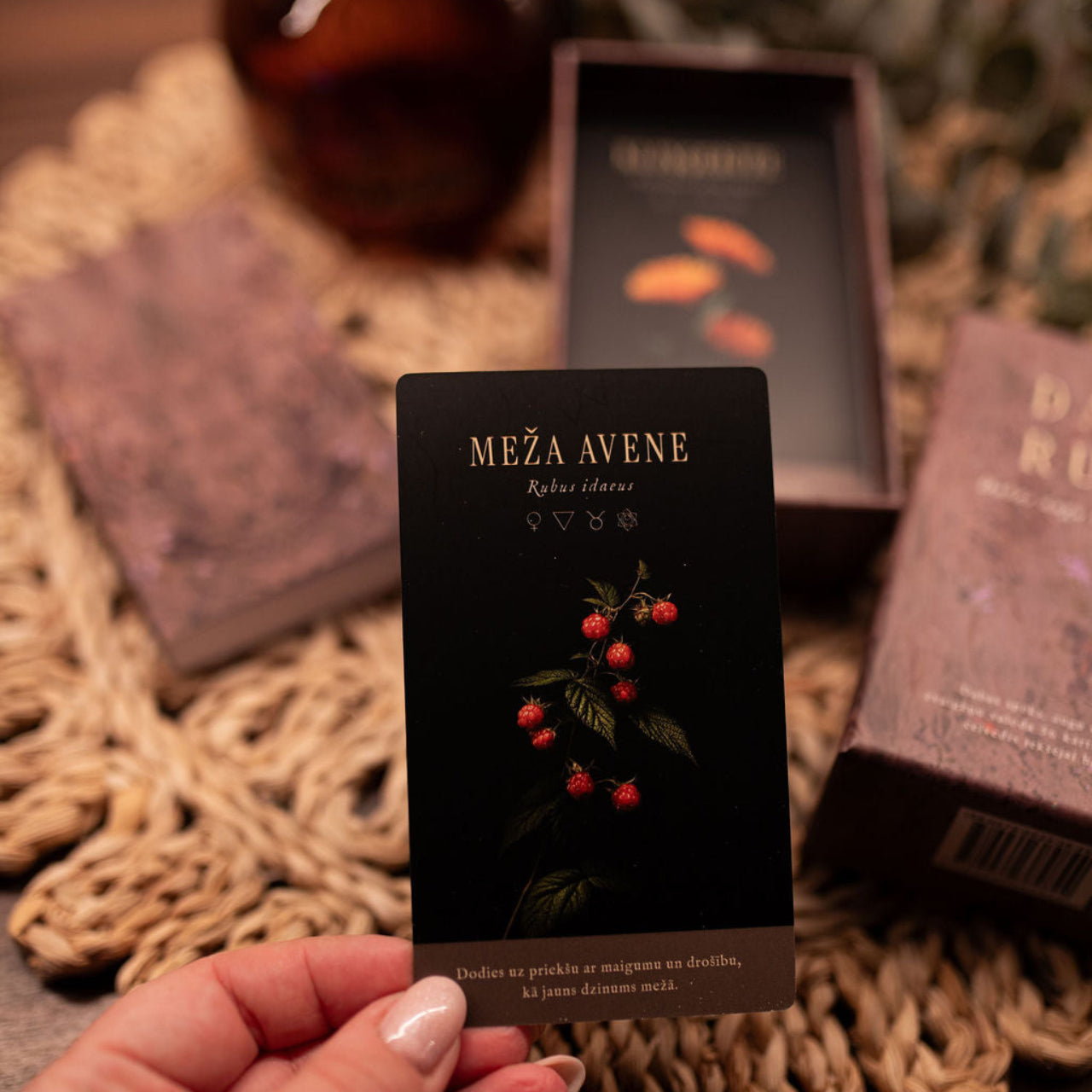 Orākula kārtis DABA RUNĀ