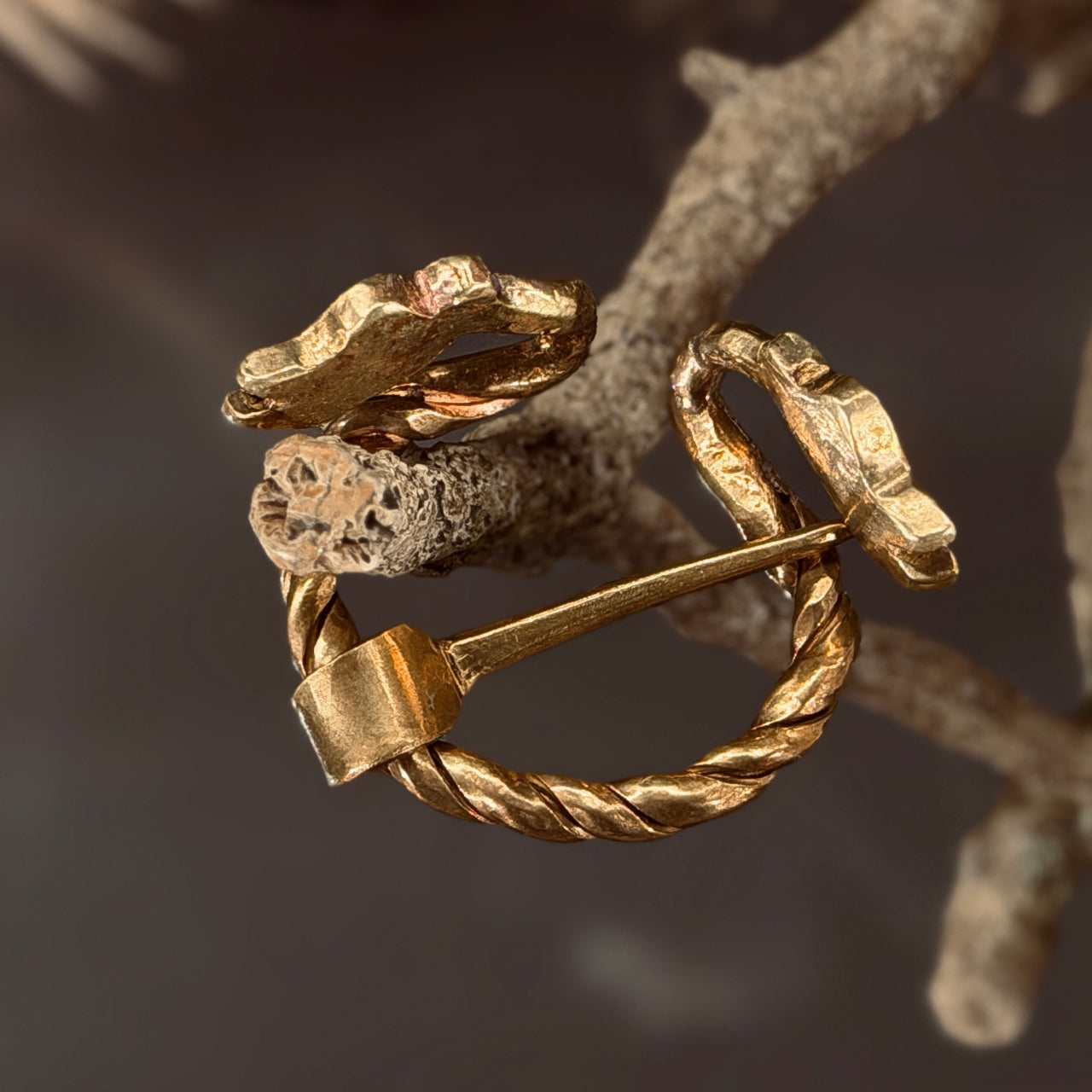 Misiņa pakavsakta PŪĶA GALVA