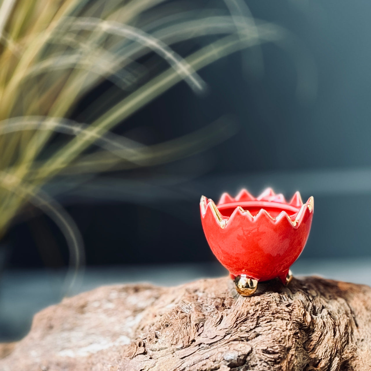 Porcelāna olu trauciņi