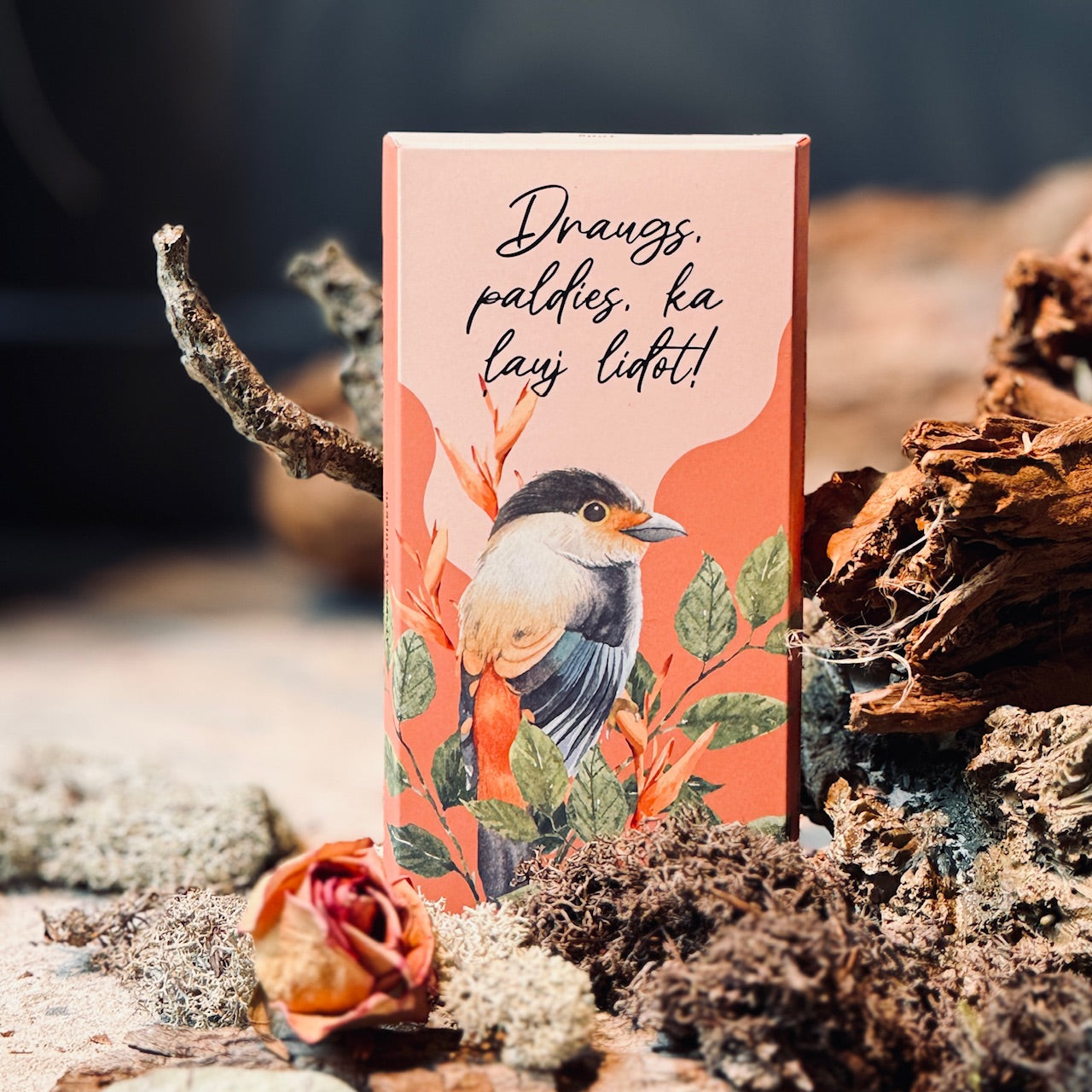 Šokokartītes IEDVESAMAI