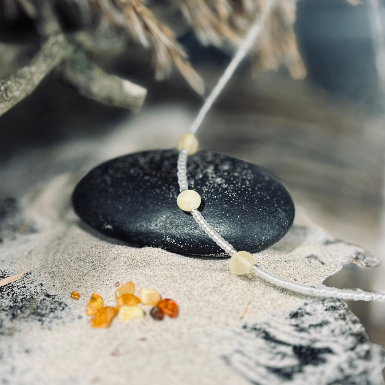 Dzintara kaklarota AUSMA