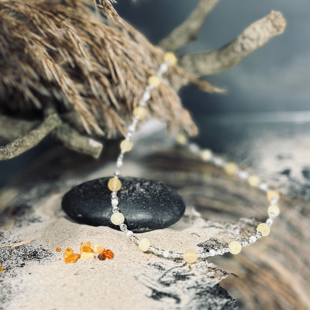 Dzintara kaklarota AUSMA