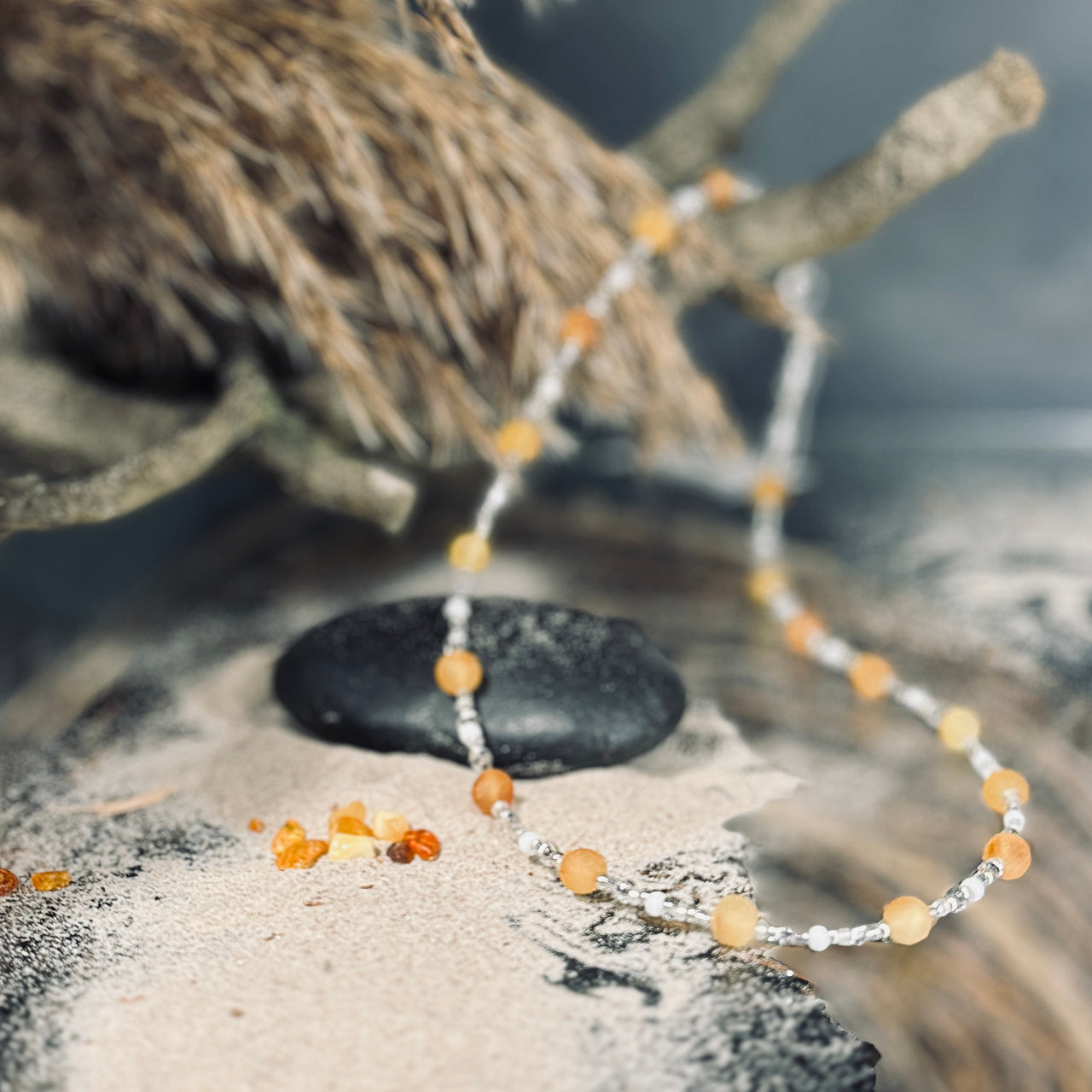 Dzintara kaklarota AUSMA