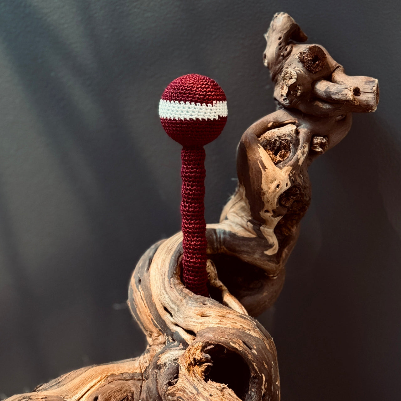 Tamborēts grabulis LATVIJA