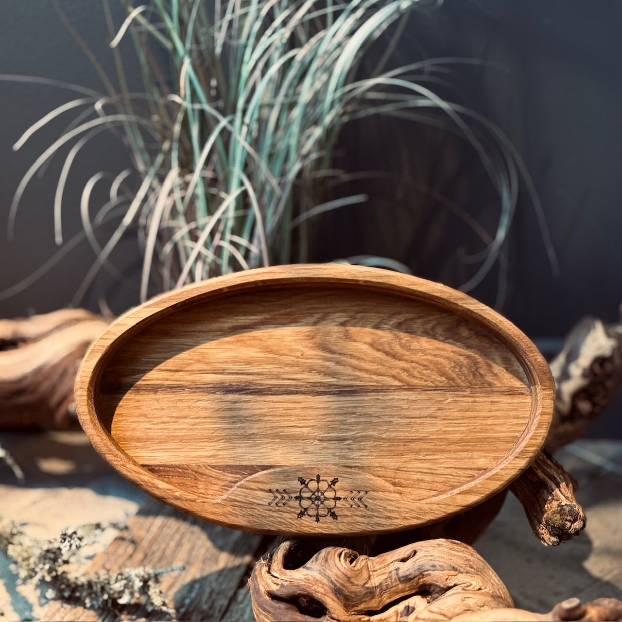 Ozolkoka uzkodu trauks LATVIEŠU SPĒKA ZĪMES