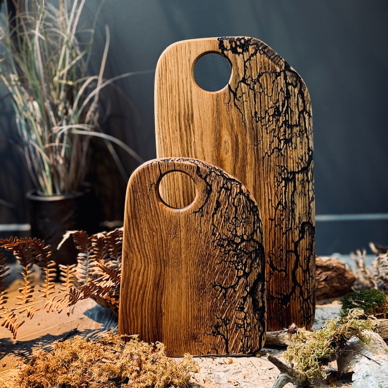 Ozolkoka dēlis ZARS ar/bez cauruma