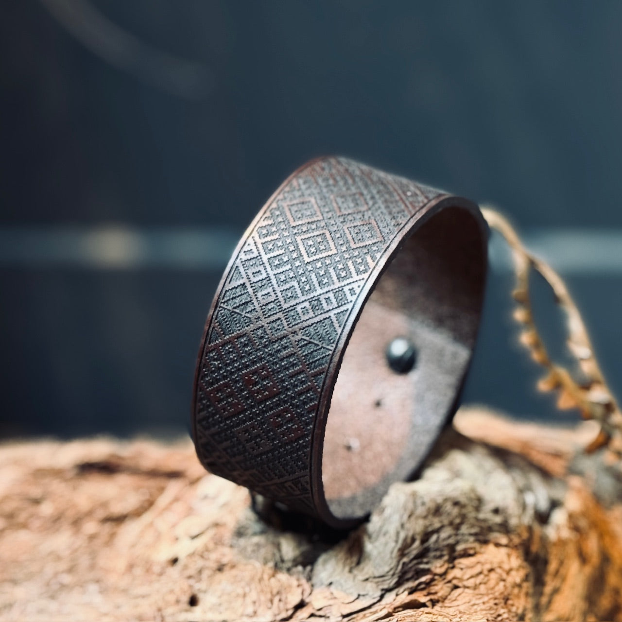 Ādas aproces ar LIELVĀRDES JOSTAS rakstu