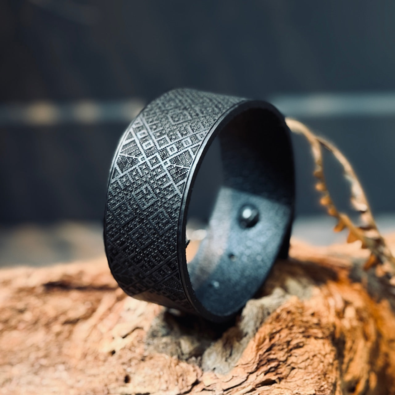 Ādas aproces ar LIELVĀRDES JOSTAS rakstu