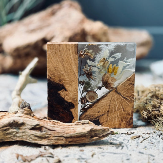 Ozolkoka paliktnis DABA