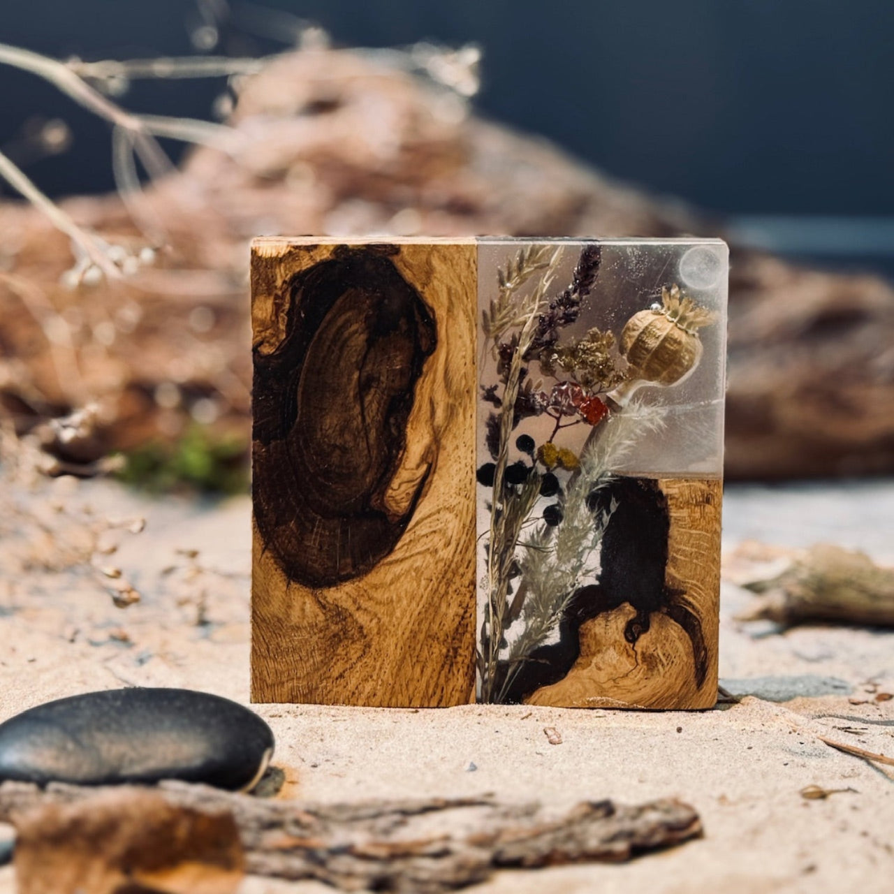 Ozolkoka paliktnis DABA