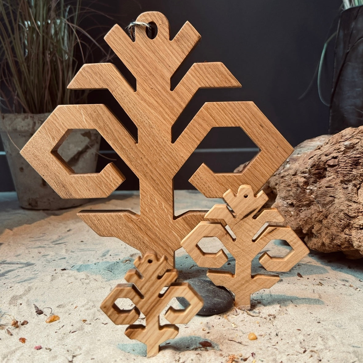 Latviešu spēka koka zīme AUSTRAS KOKS