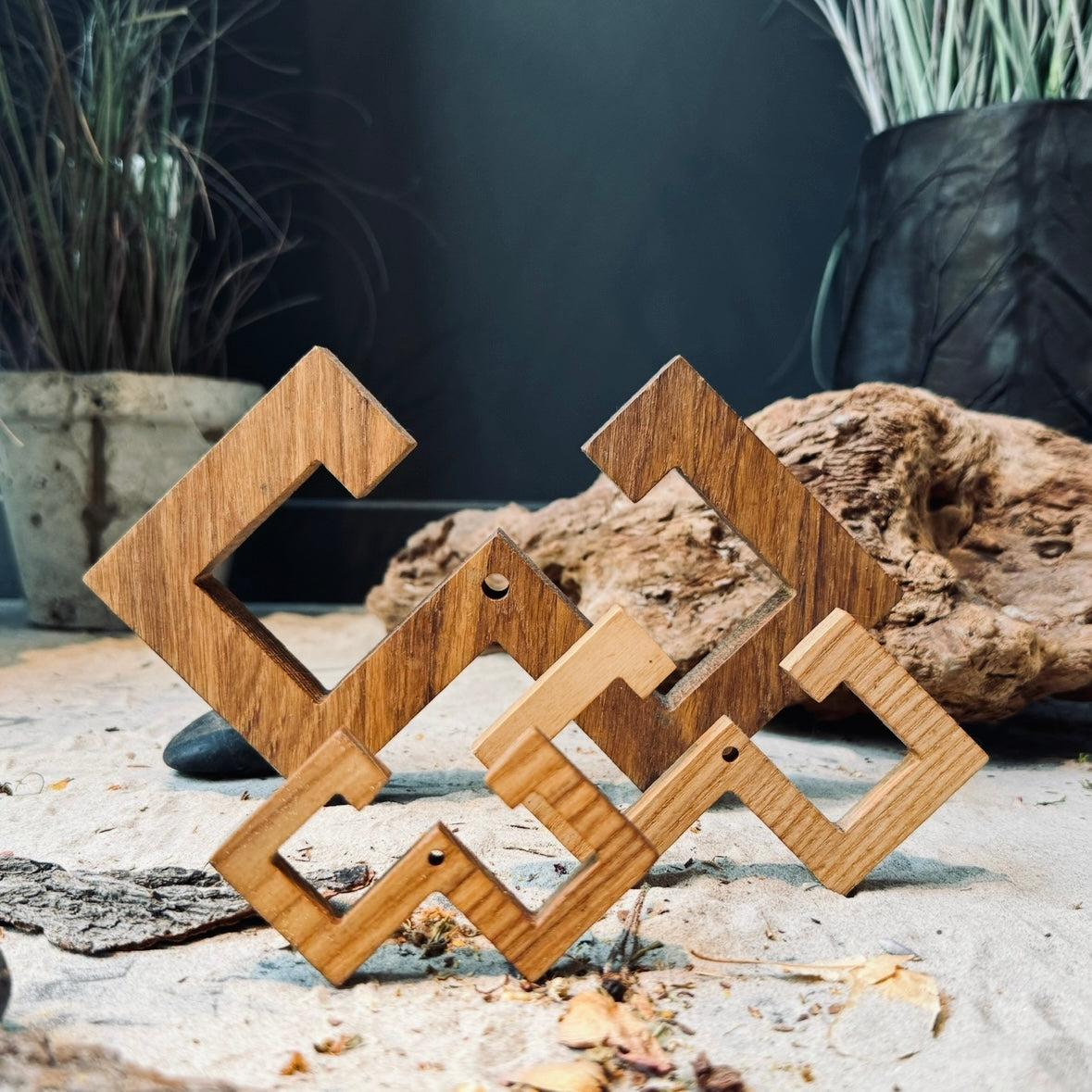 Latviešu spēka koka zīme MĒNESS ZĪME