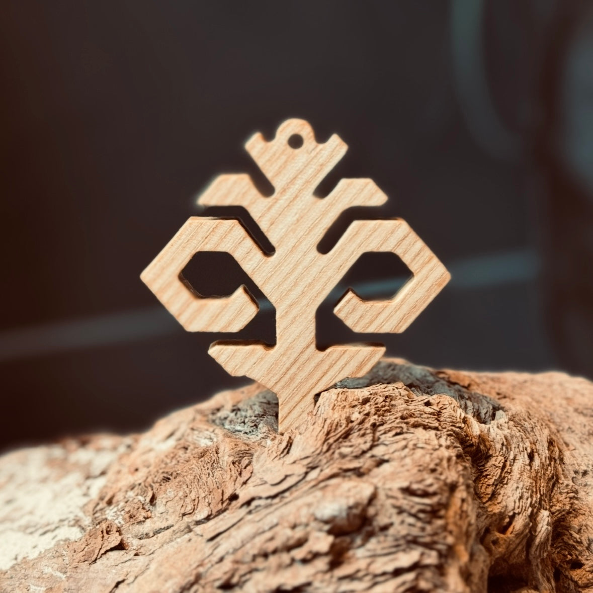 Latviešu spēka koka zīme AUSTRAS KOKS