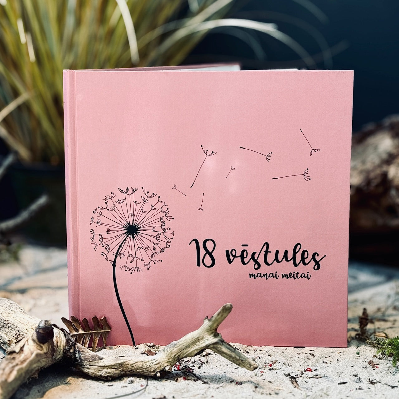 18 vēstules manai MEITAI