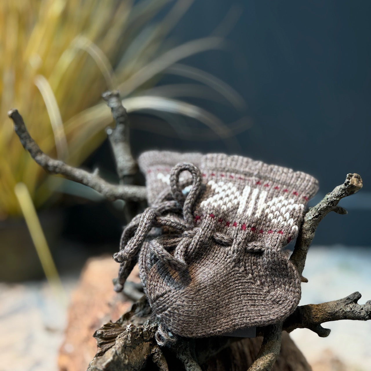 Merino zeķītes mazuļiem LATVIEŠU SPĒKA ZĪMES