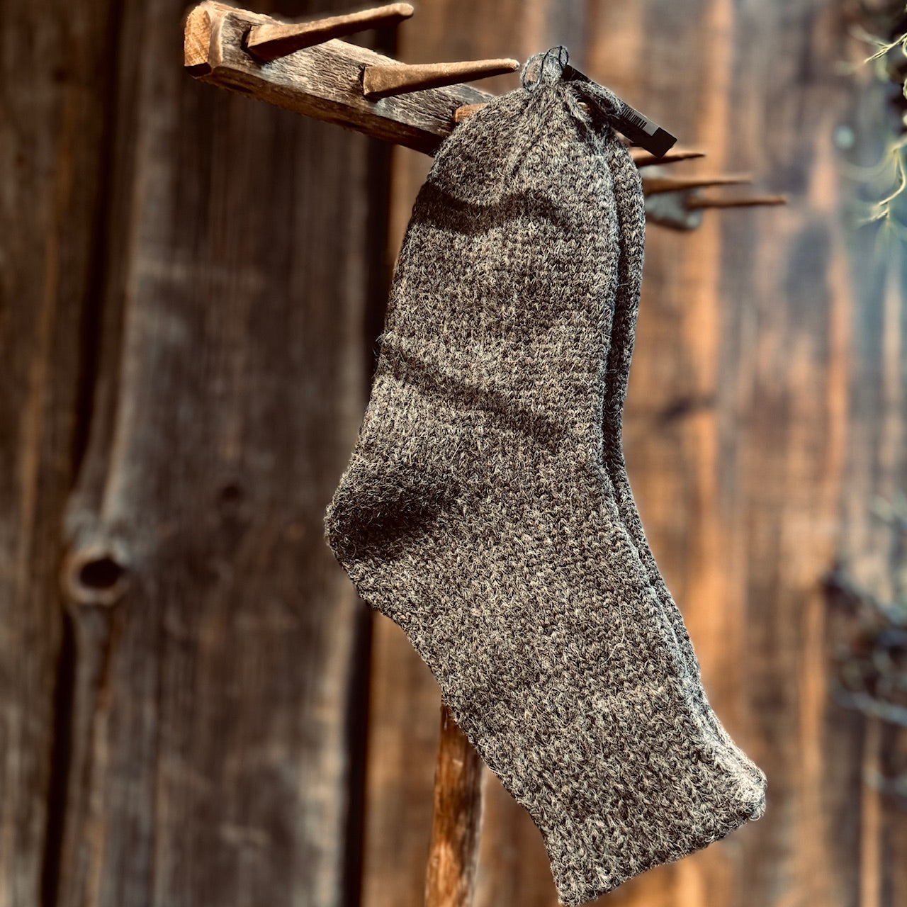 Alpakas zeķes PELĒCIS