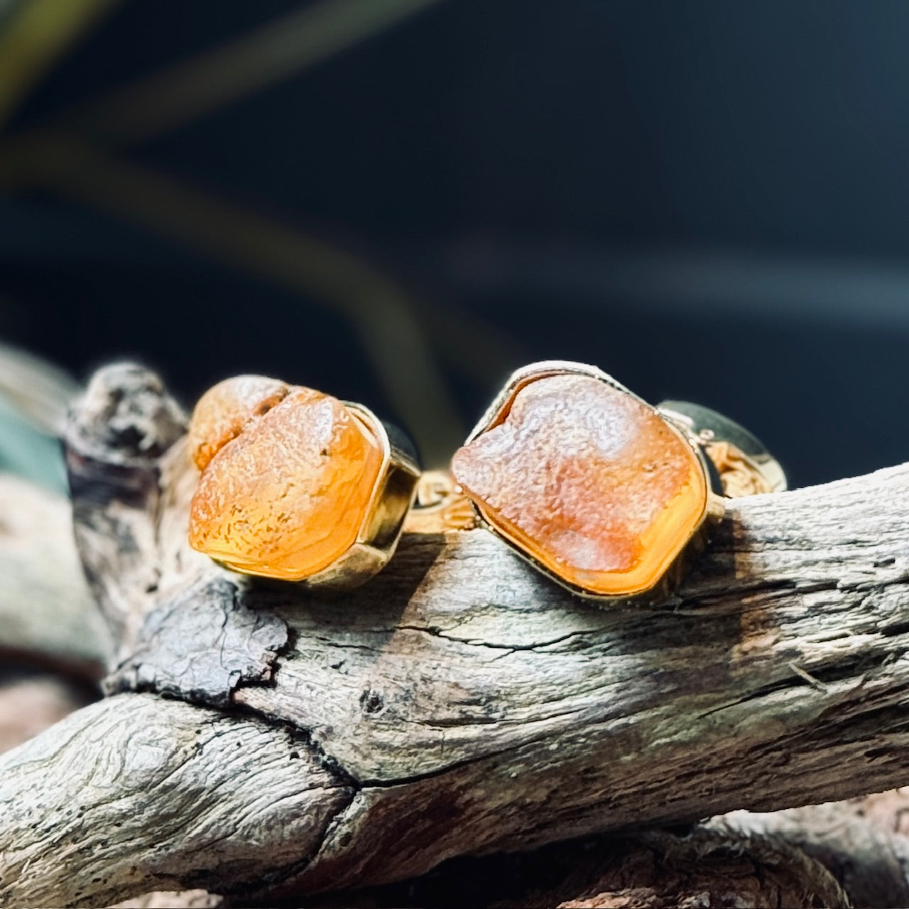 Aproču pogas DZINTARS