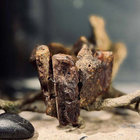 Dzintara aproces PURVA DZINTARS