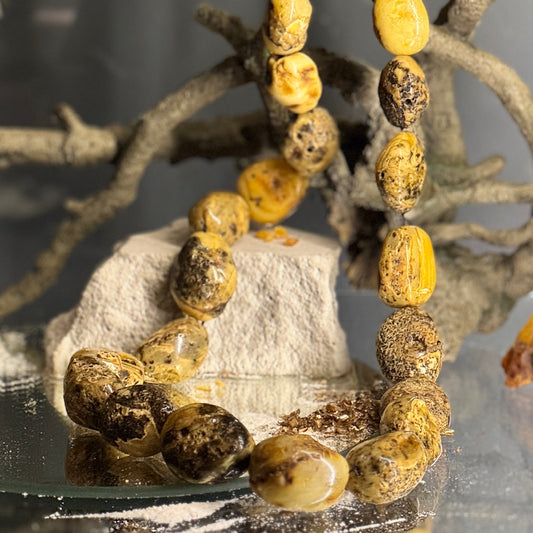 Dzintara krelles DZINTARA ĶĒRPIS