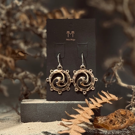 Bronzas auskari VISUMS