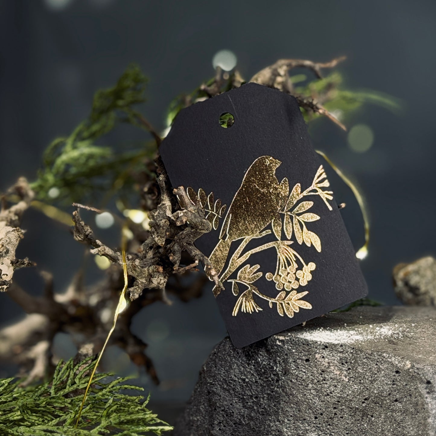 Dāvanu zīmītes ZIEMA