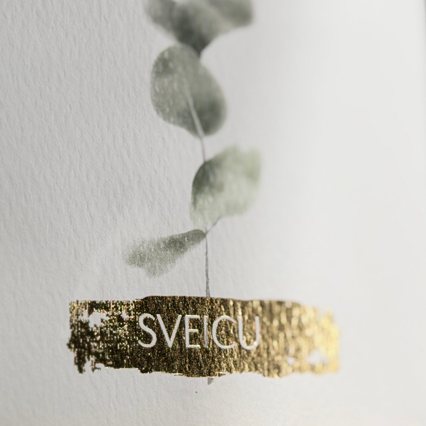 Apsveikuma kartītes APSVEICAM