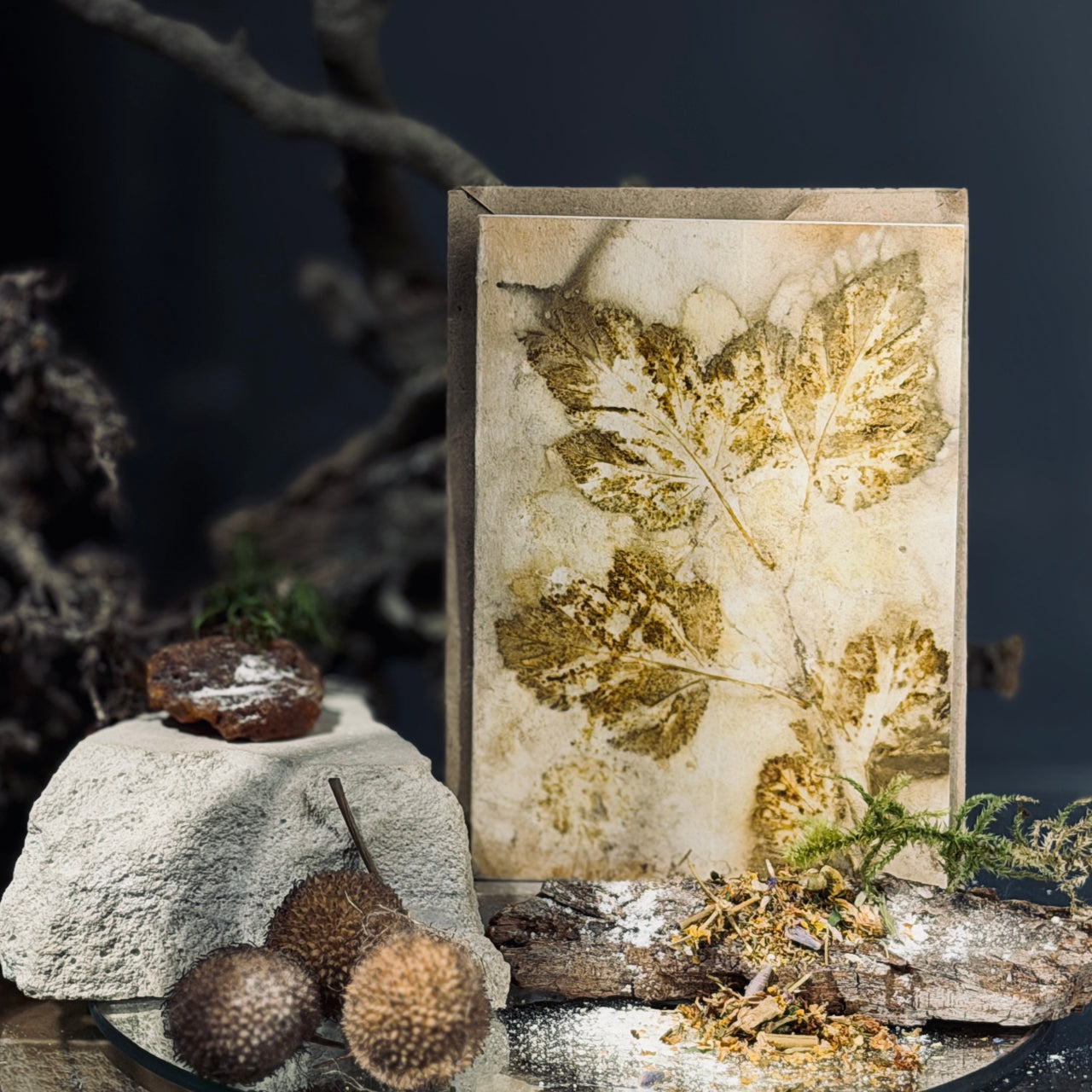 Eko Printa apsveikuma kartītes DABA