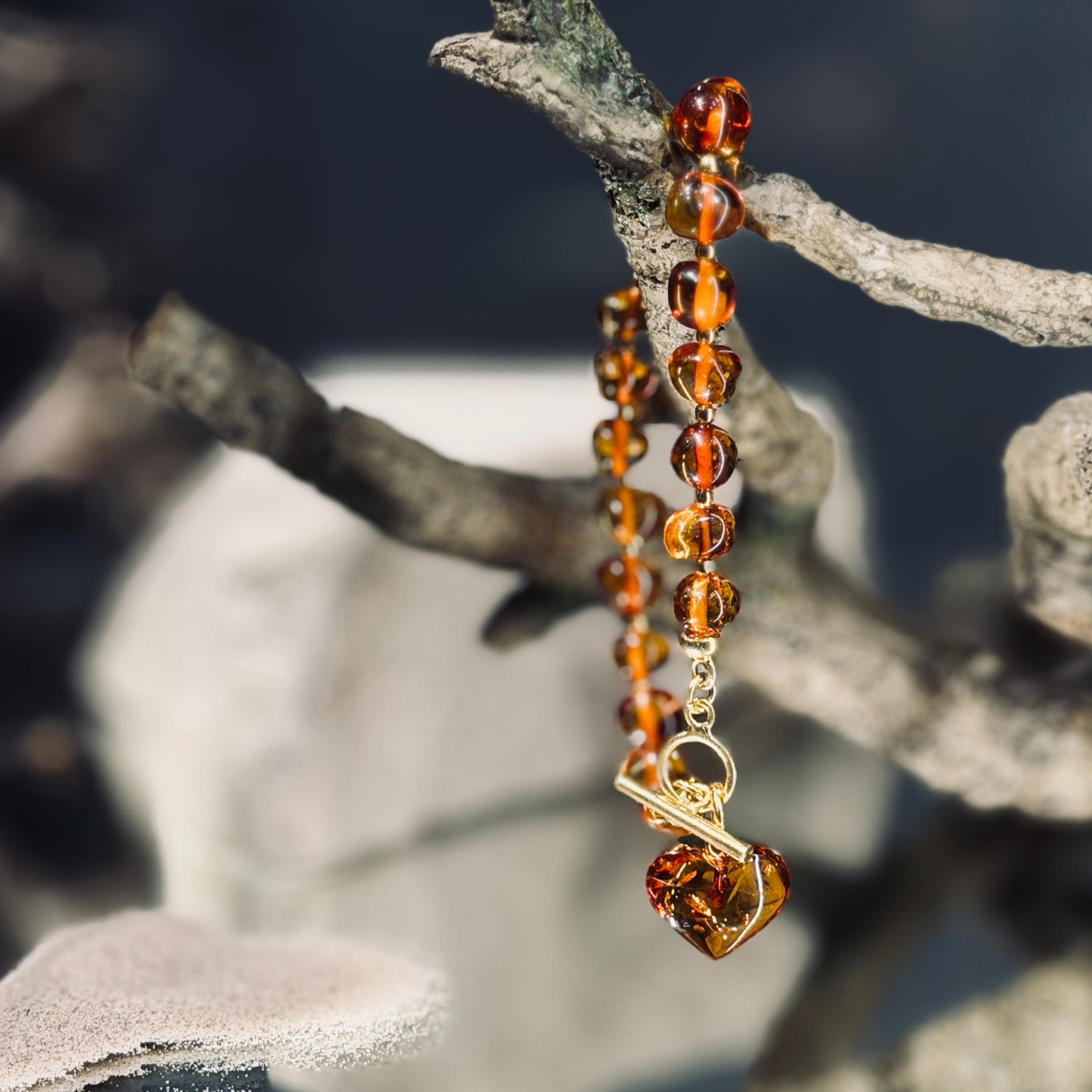 Dzintara aproce DZINTARA SIRDS