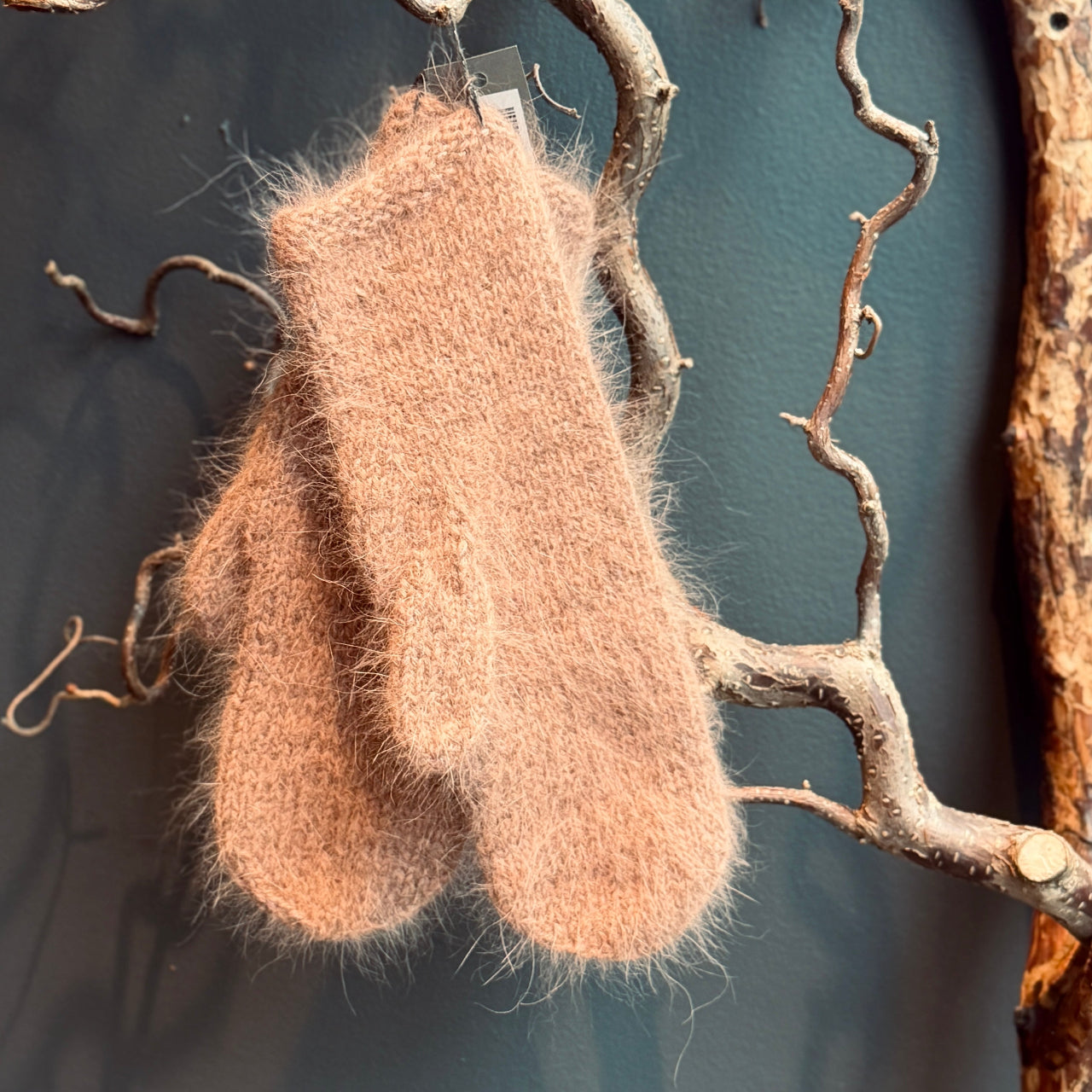 Eleganti dūraiņi ANGORA