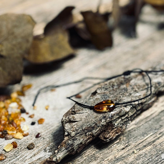 Diedziņa aproce DZINTARA GRAUDS