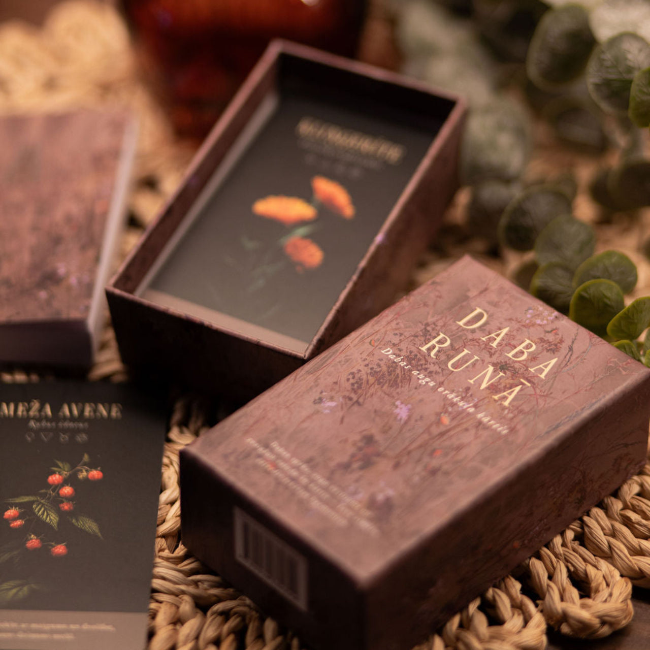 Orākula kārtis DABA RUNĀ