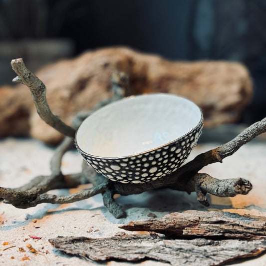 Porcelāna bļodas BURBULIS