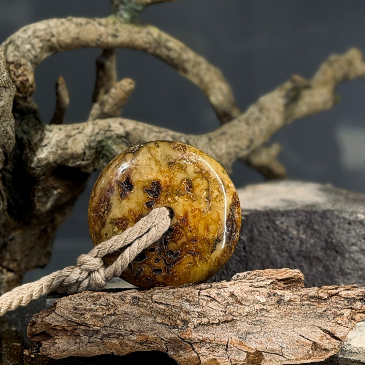 Dzintara kulons DISKS lina auklā