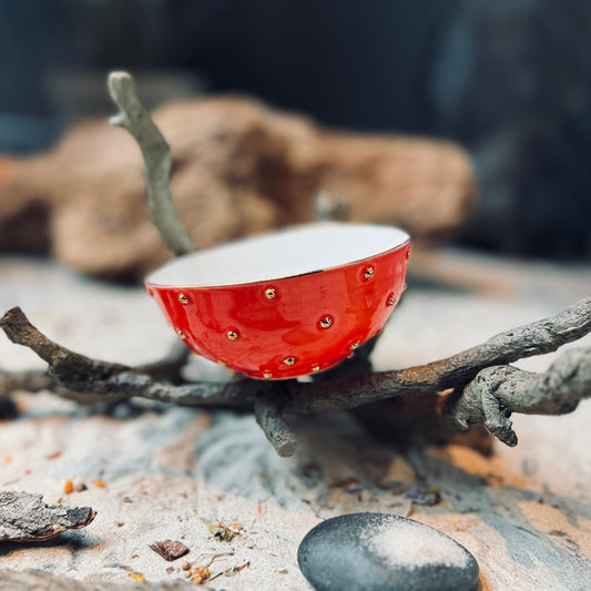 Porcelāna bļodas ZELTA PUMPIŅA