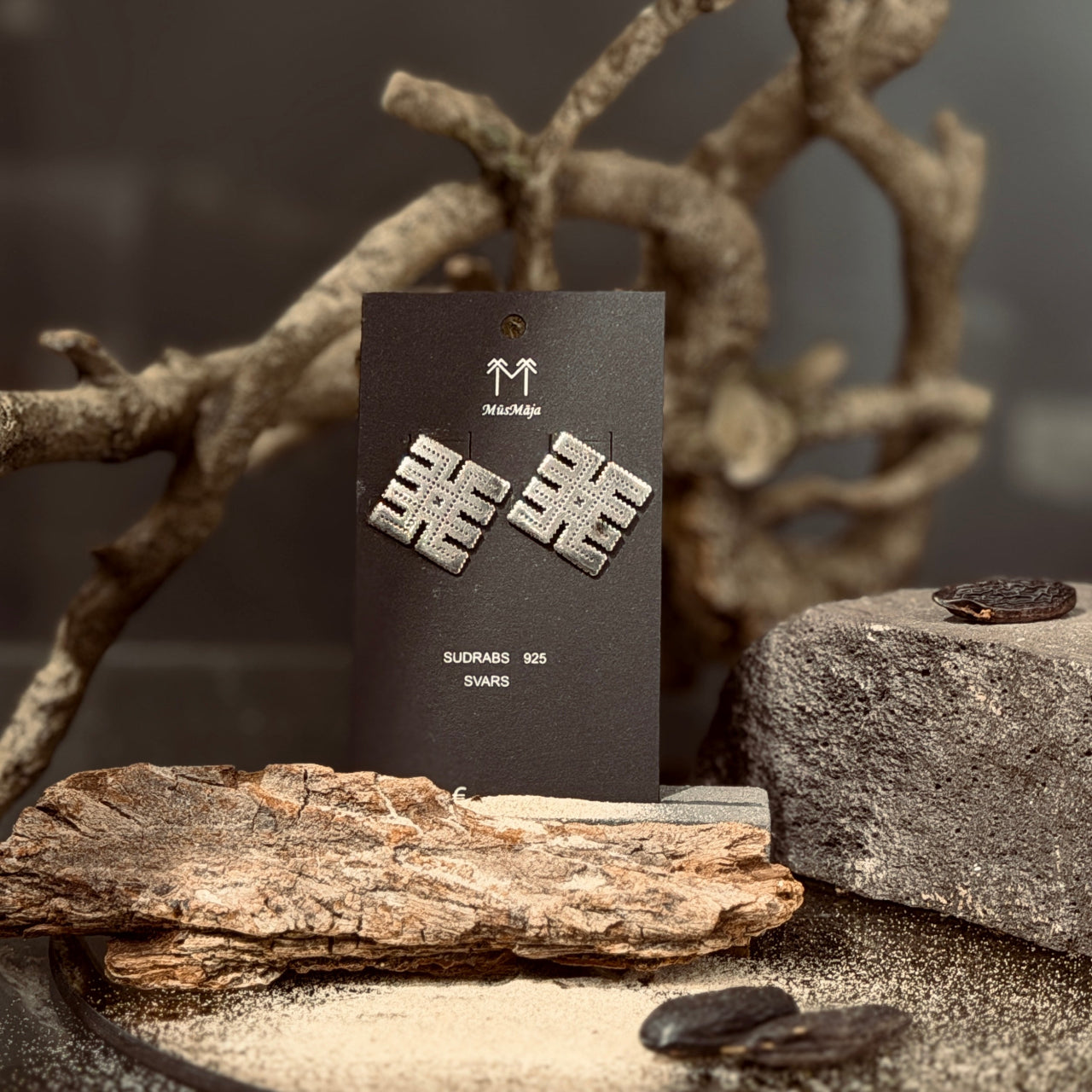 Sudraba auskari ŪSIŅŠ