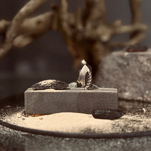 Sudraba kulons NAMEJS