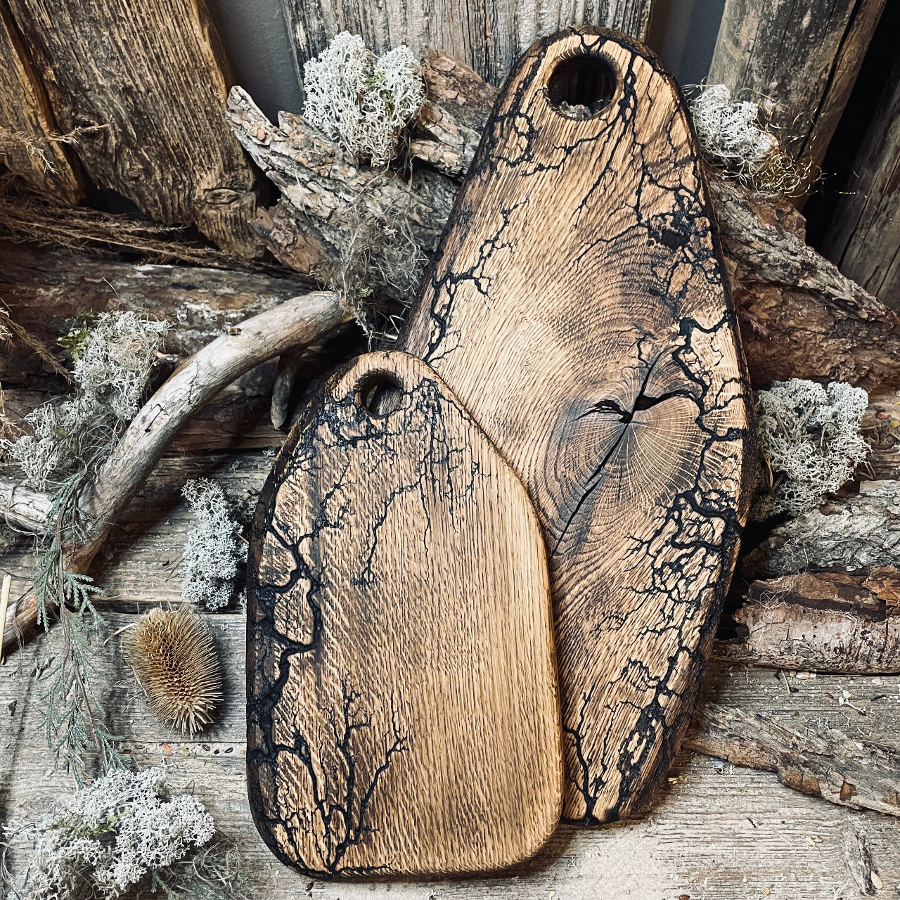 Ozolkoka dēlis ZARS ar/bez cauruma