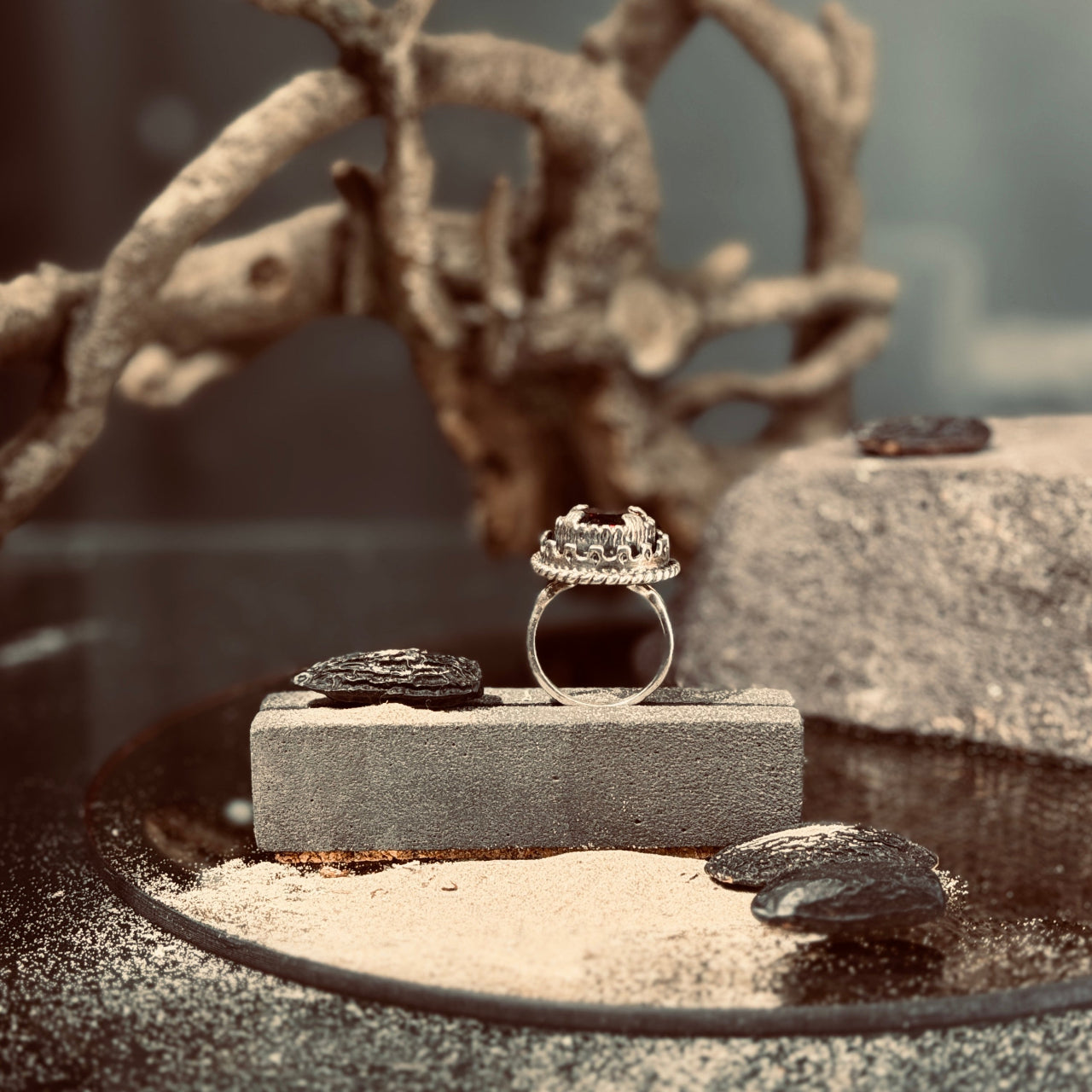 Sudraba SAULES GREDZENS