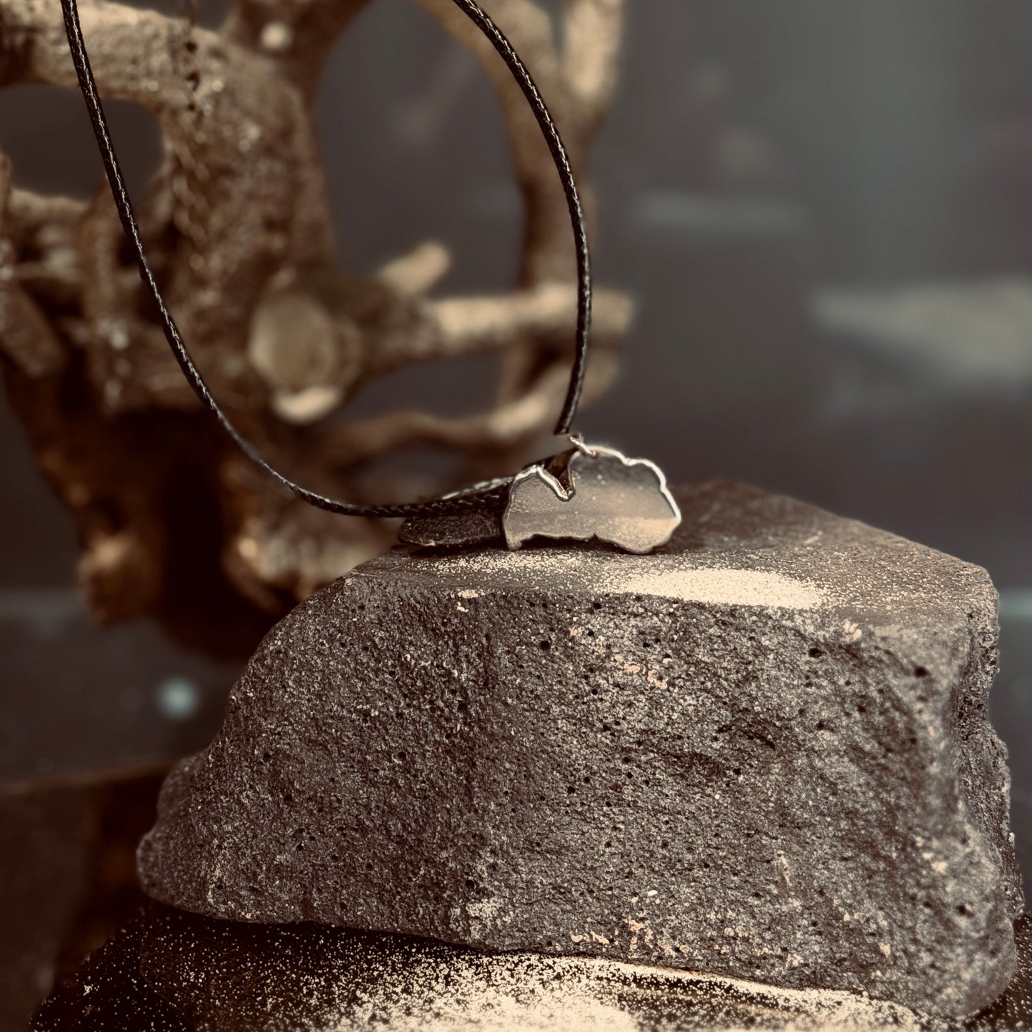 Sudraba kulons LATVIJA