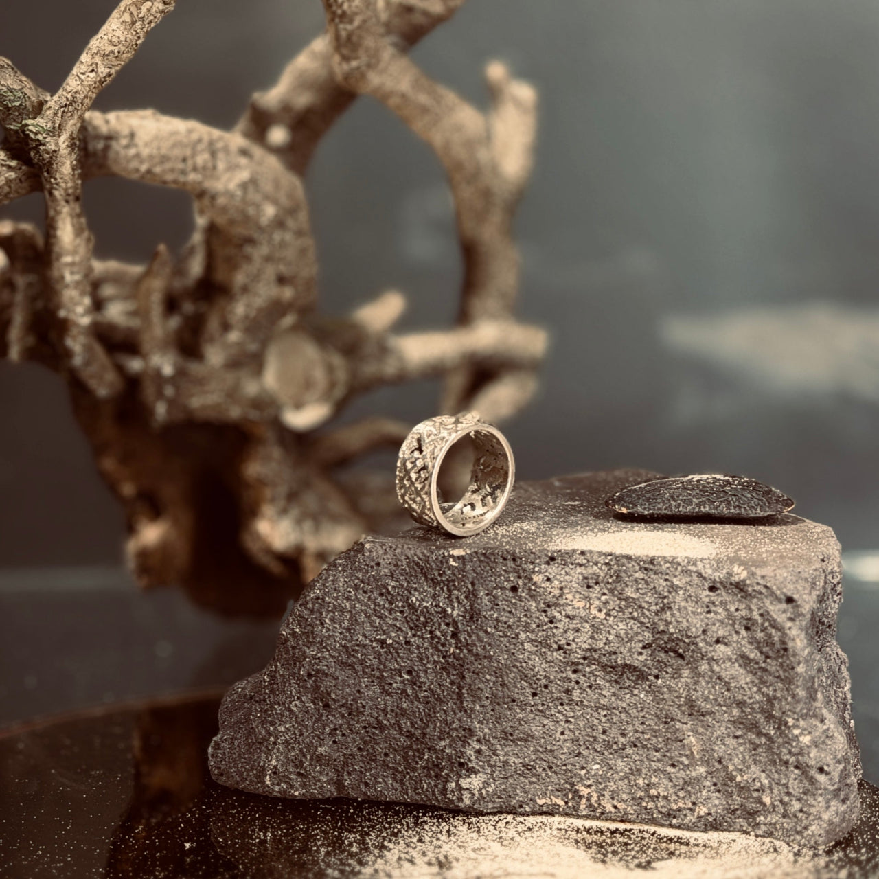 Sudraba gredzens LIELVĀRDE