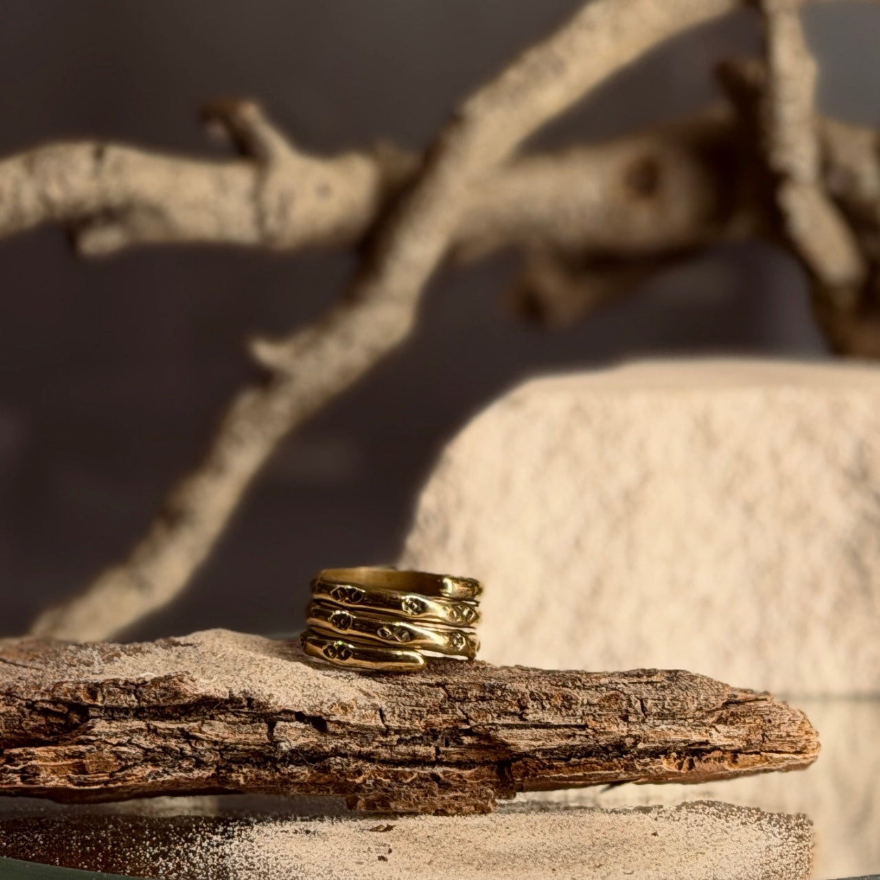 Misiņa SPIRĀLGREDZENS ar latviešu spēka zīmēm