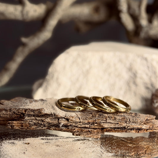 Misiņa gredzeni LATVIEŠU SPĒKA ZĪMES