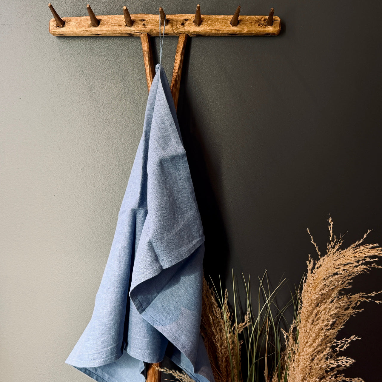 Virtuves lina dvielis DEBESJUMS