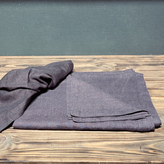 Lina galdauts BAKLAŽĀNS