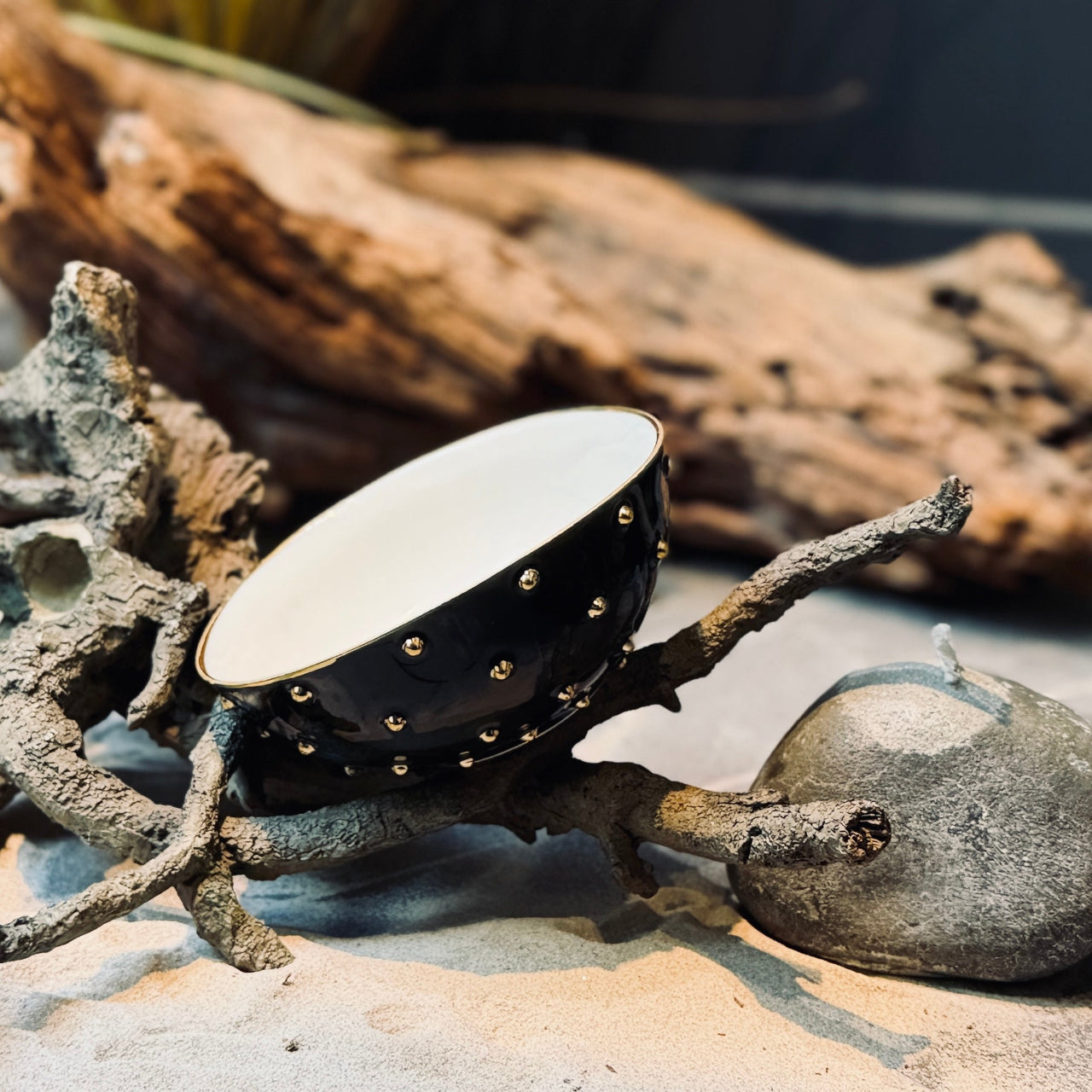 Porcelāna bļodas ZELTA PUMPIŅA