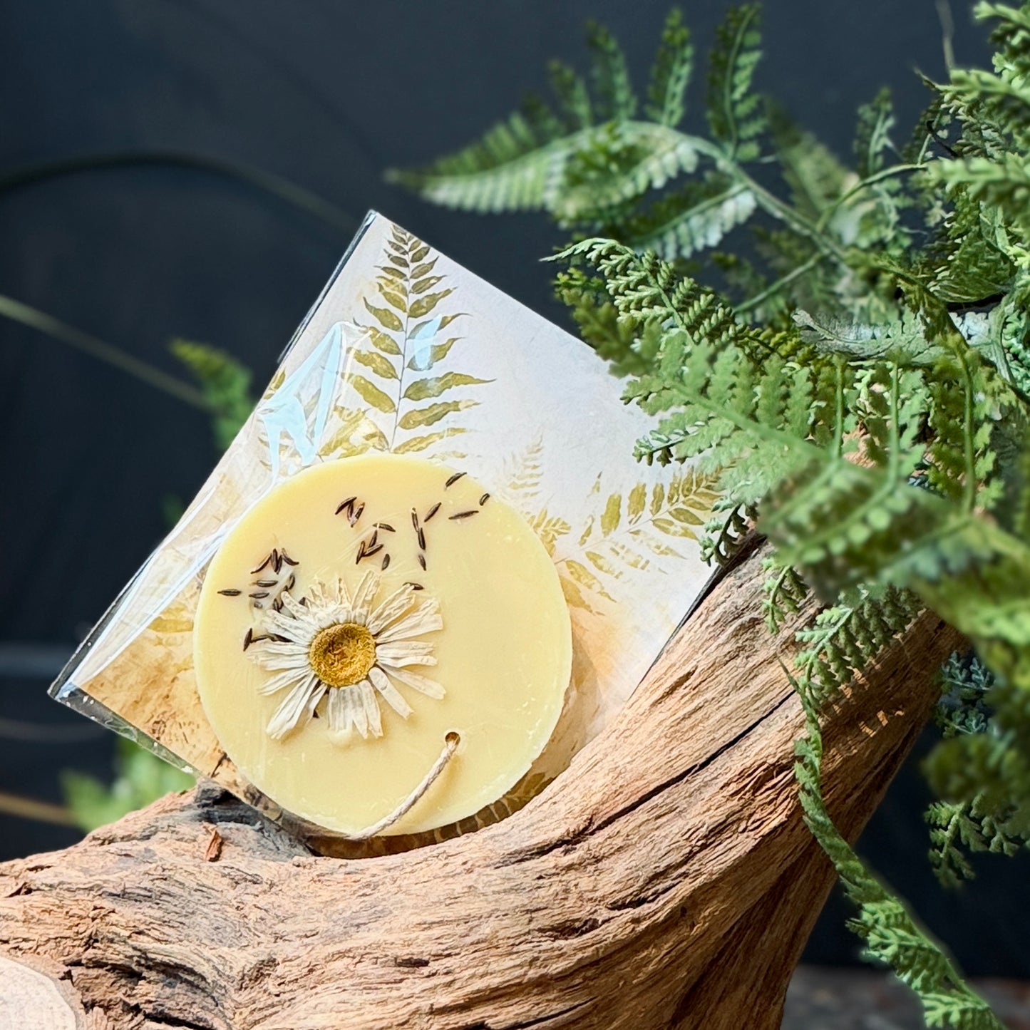 Sojas vaska telpu aromatizētājs PAPARDE