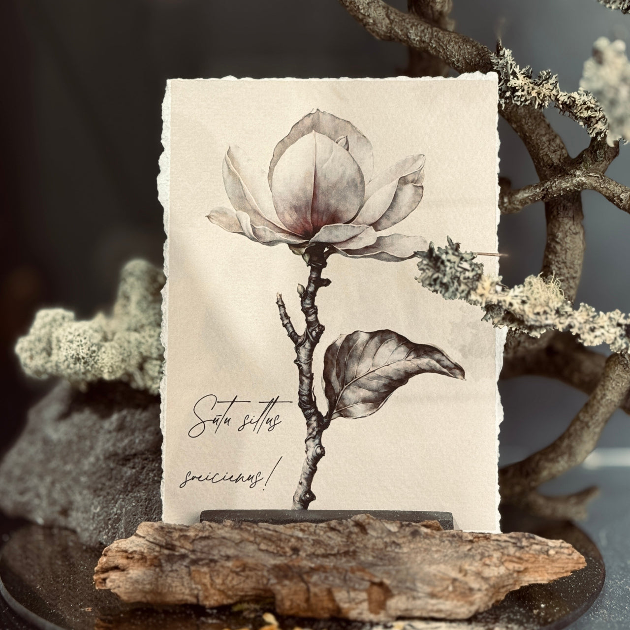 VINTAGE apsveikuma kartītes