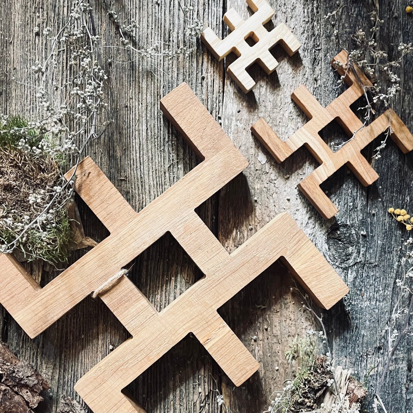 Latviešu spēka koka zīme ŪSIŅŠ