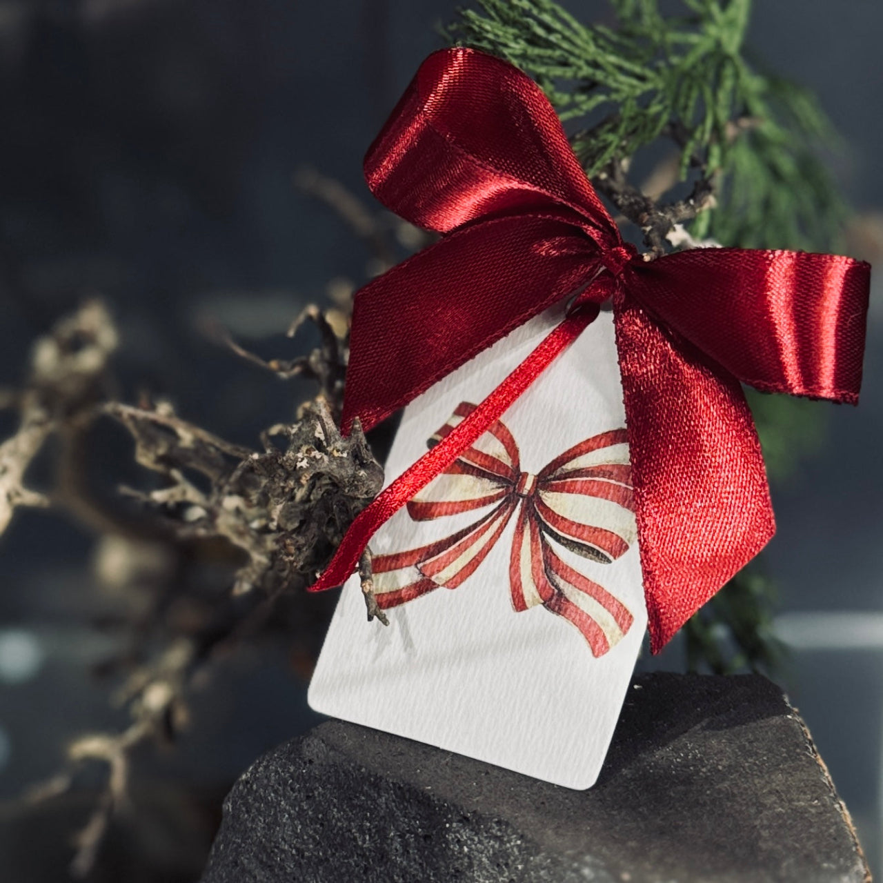 Dāvanu zīmītes ZIEMASSVĒTKU BANTE