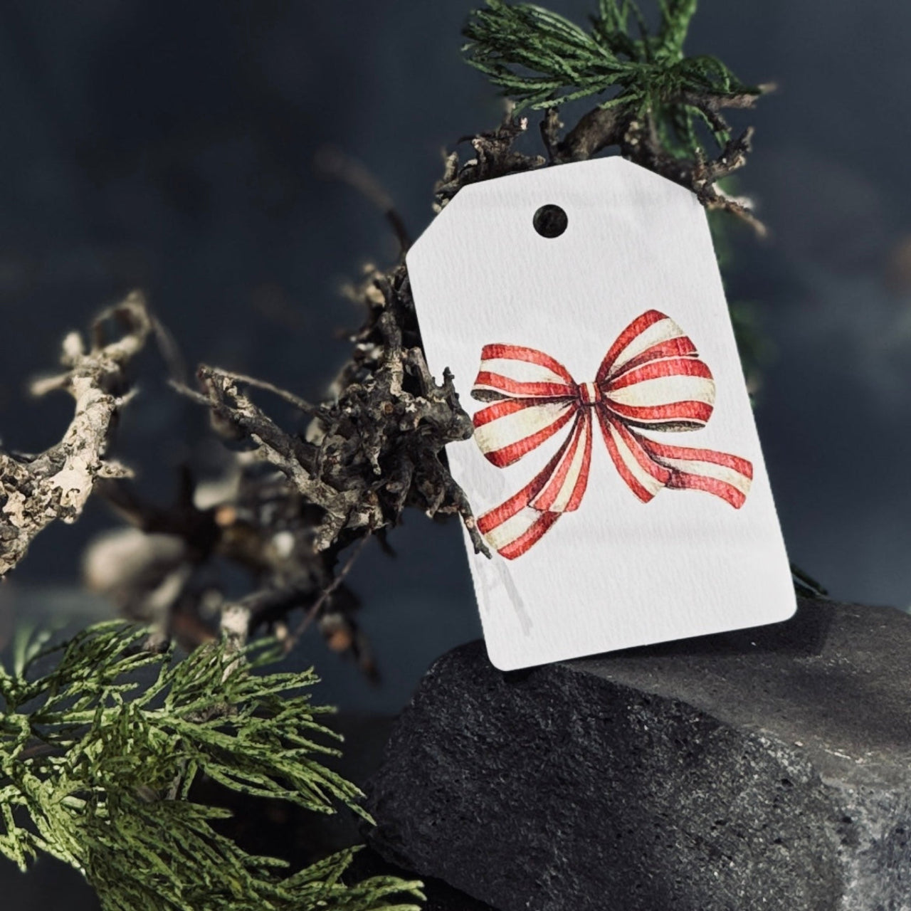 Dāvanu zīmītes ZIEMASSVĒTKU BANTE